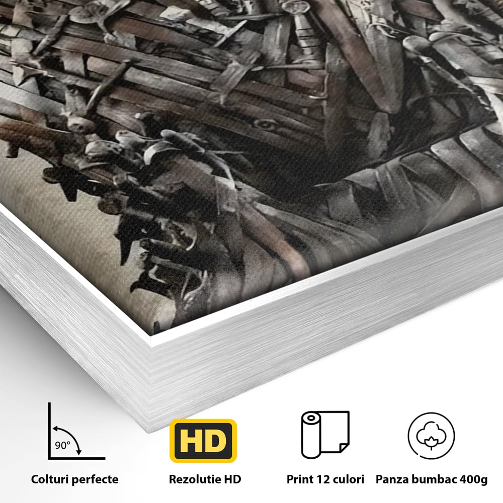 Detaliu al suprafetei: tablou canvas cu tronul din sabii, in rama de aluminiu argintiu